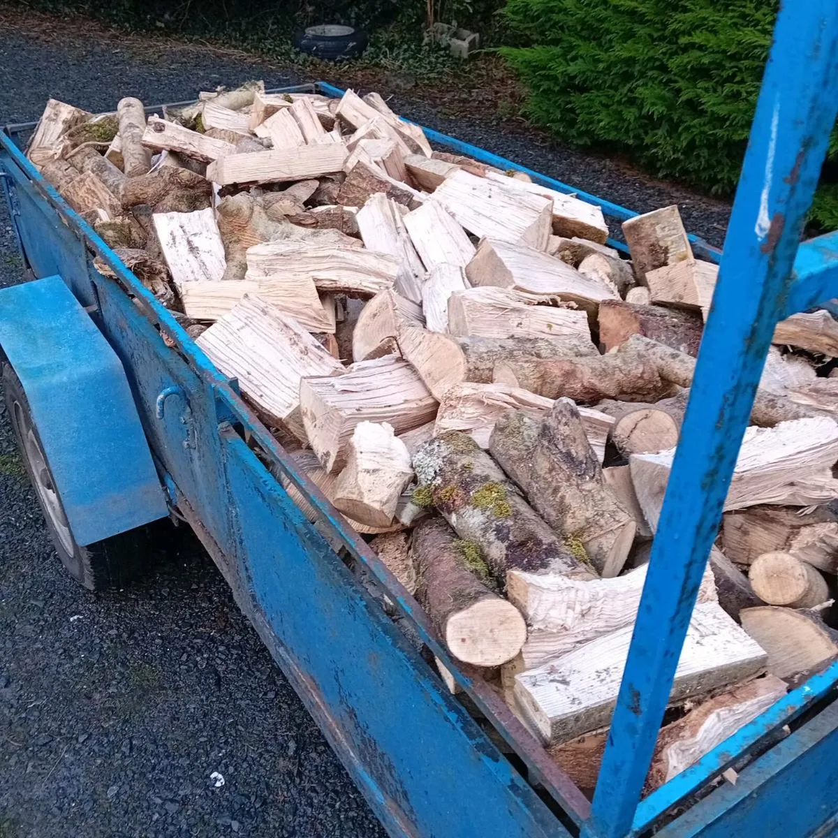 Ash Firewood - Image 1
