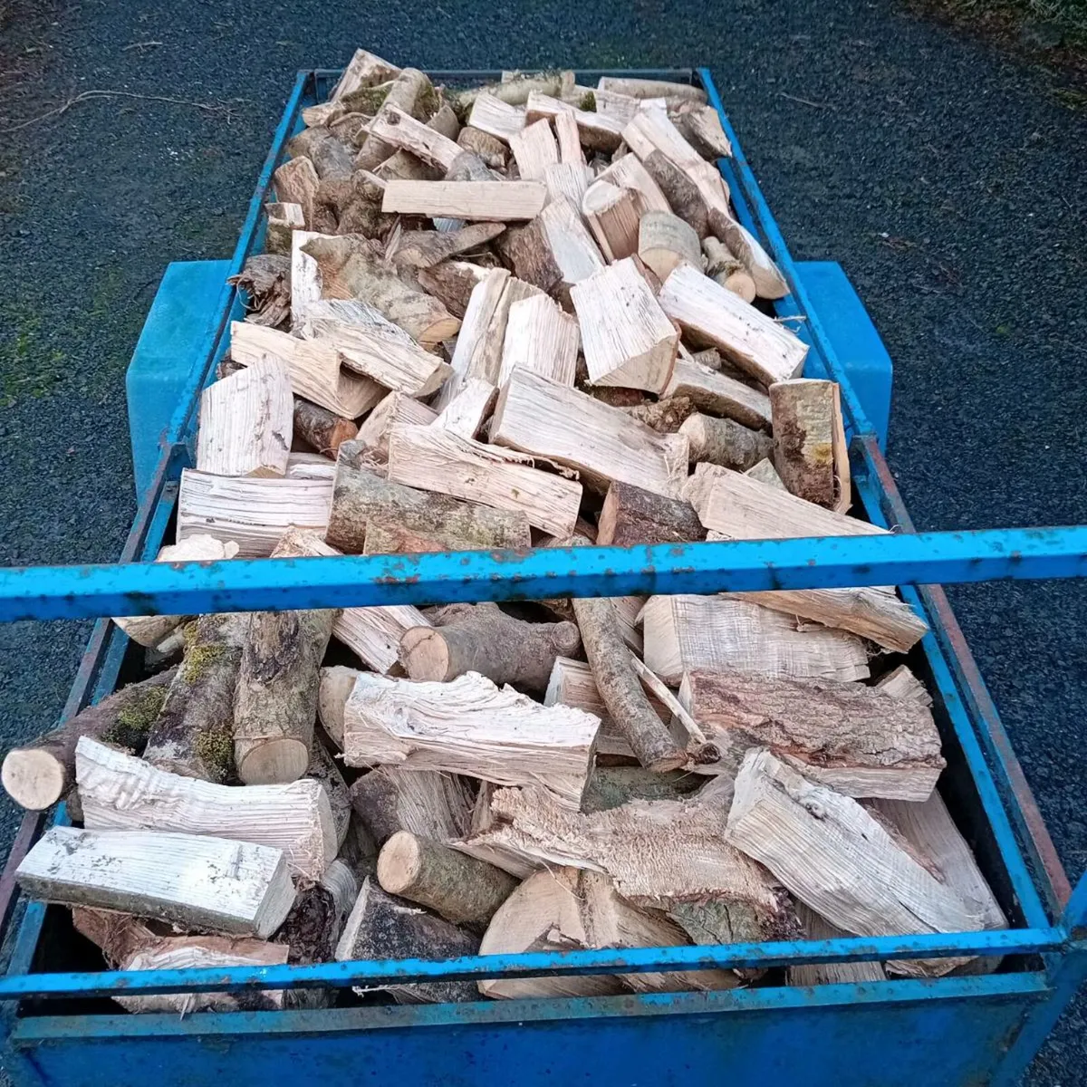 Ash Firewood - Image 2