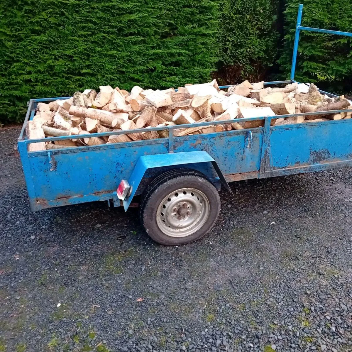 Ash Firewood - Image 3