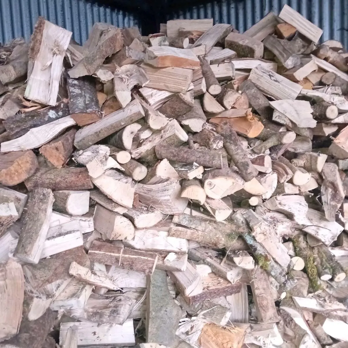 Ash Firewood - Image 4