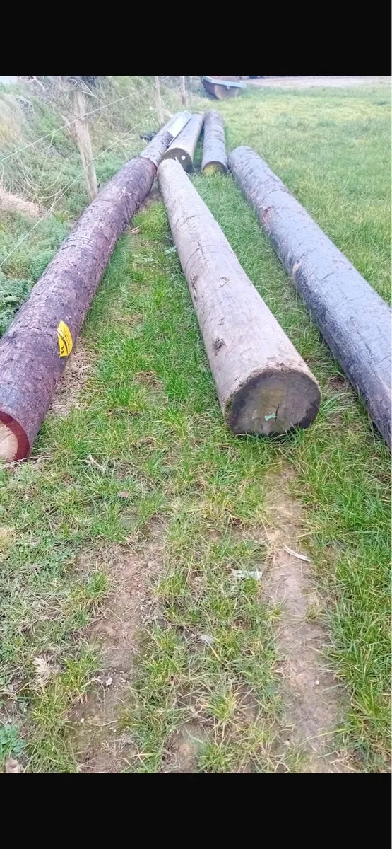 Poles for sales - Image 2
