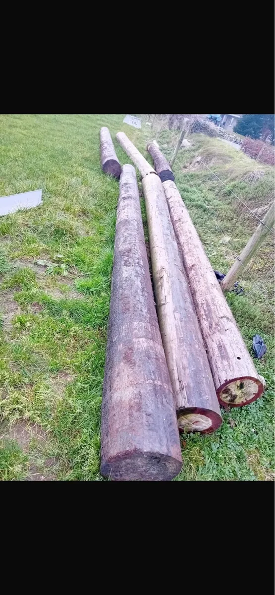 Poles for sales - Image 3