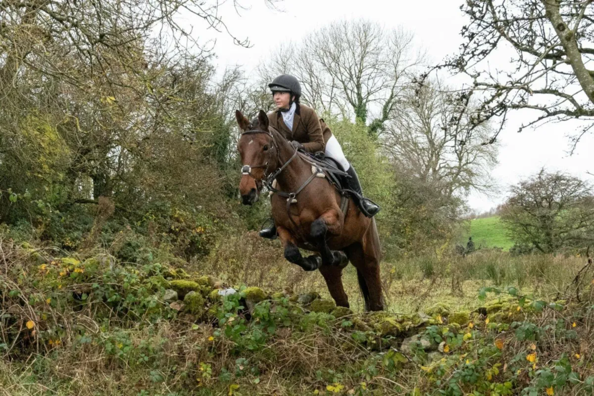 Hunting Machine - Image 2