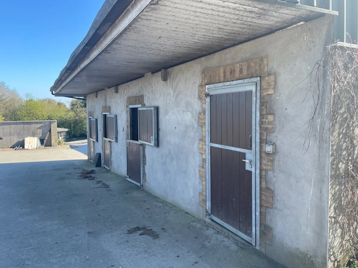 Livery Small private yard - Image 3