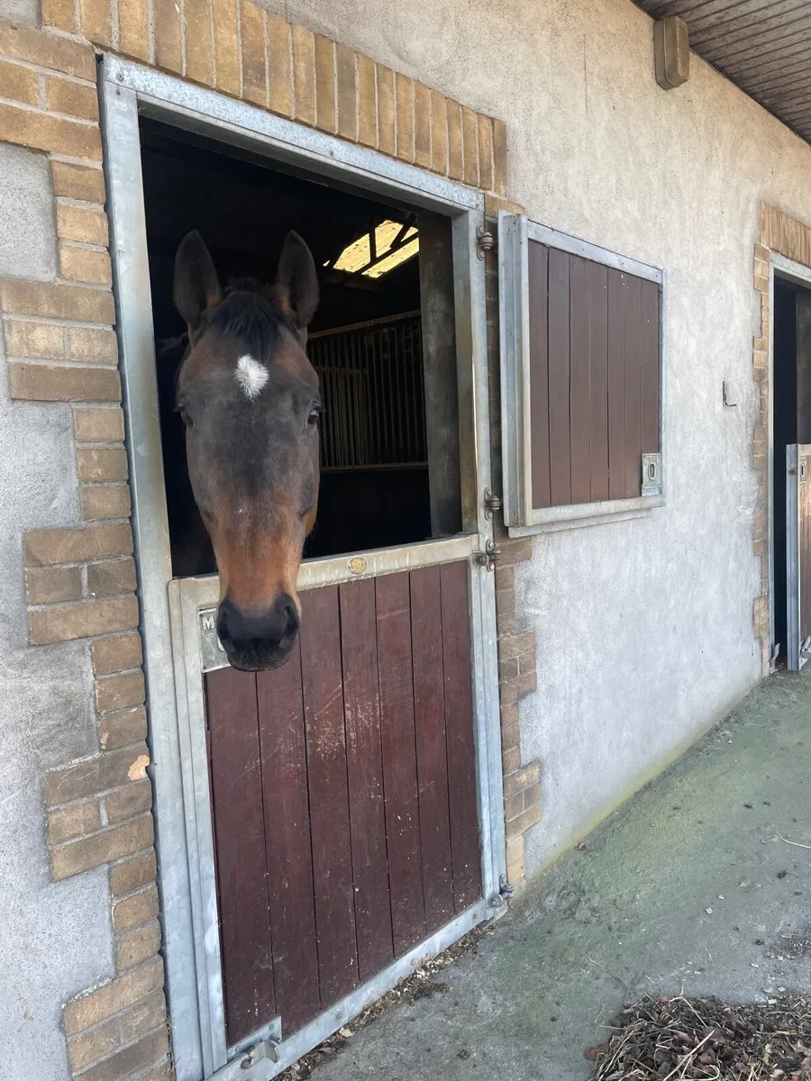 Livery Small private yard - Image 1