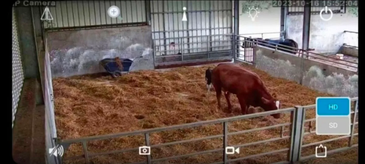 Calving Cameras (full installation by Electrician) - Image 2
