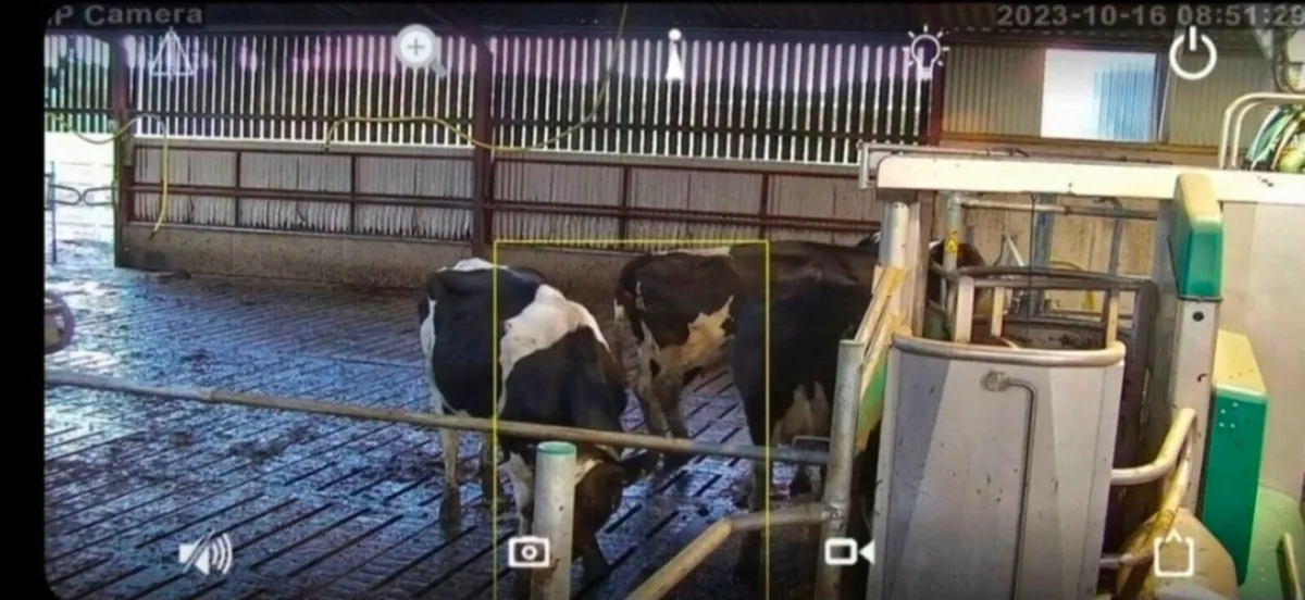 Calving Cameras (full installation by Electrician) - Image 3