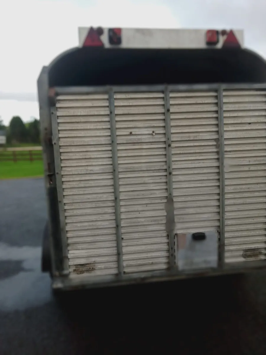 12x6 galvanised cattle trailer - Image 2