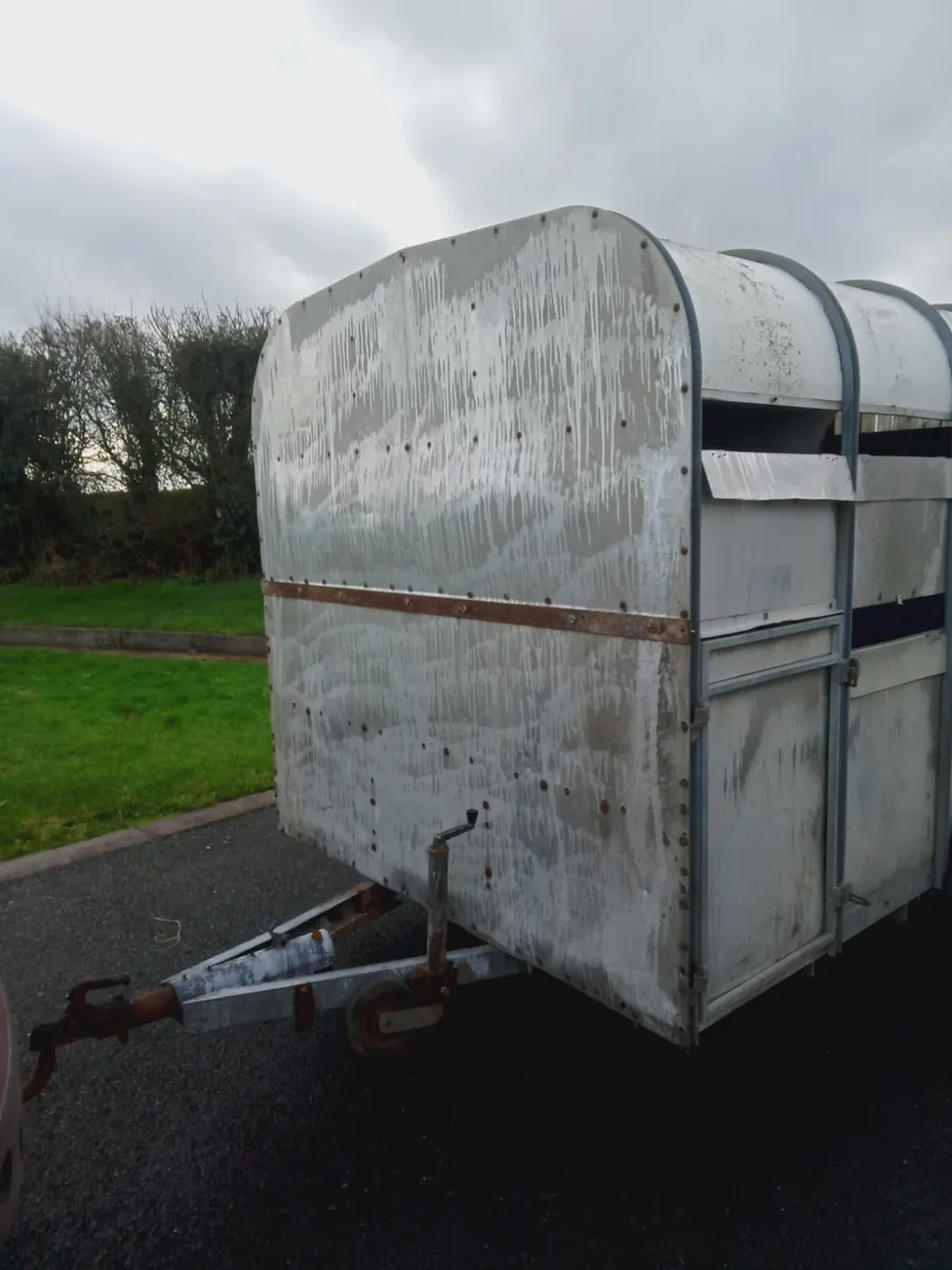 12x6 galvanised cattle trailer - Image 3