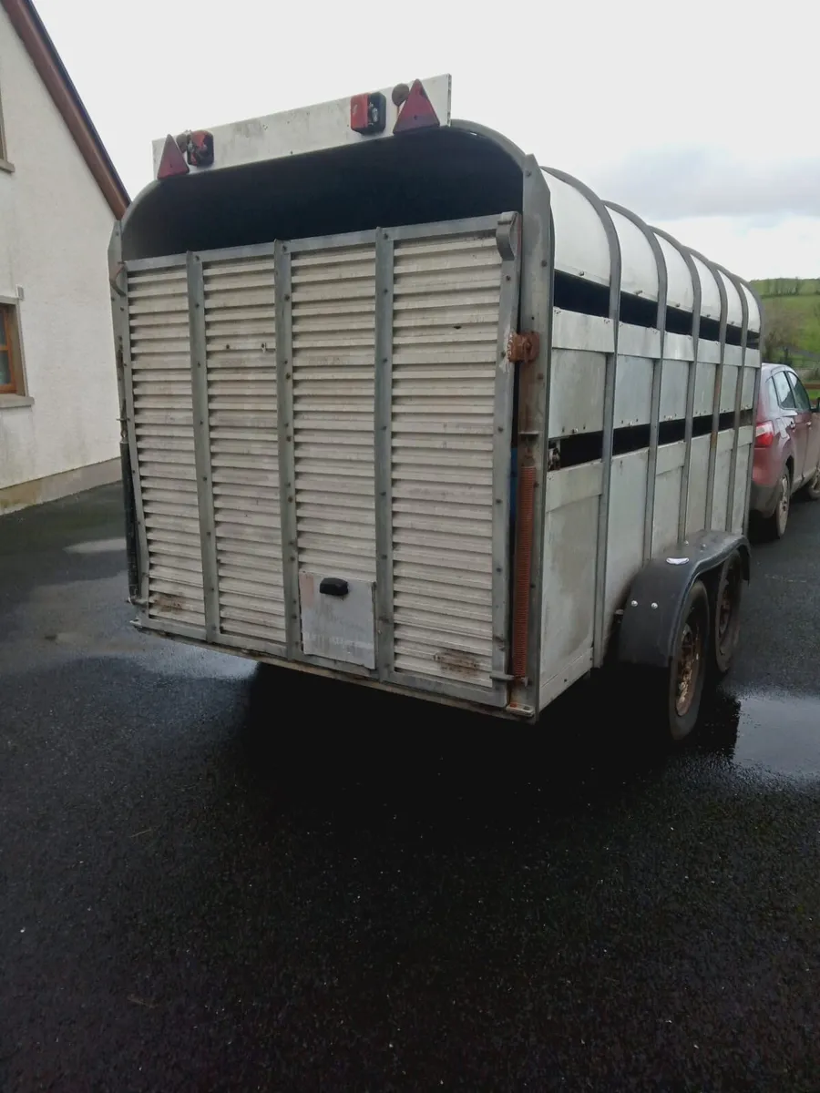 12x6 galvanised cattle trailer - Image 1