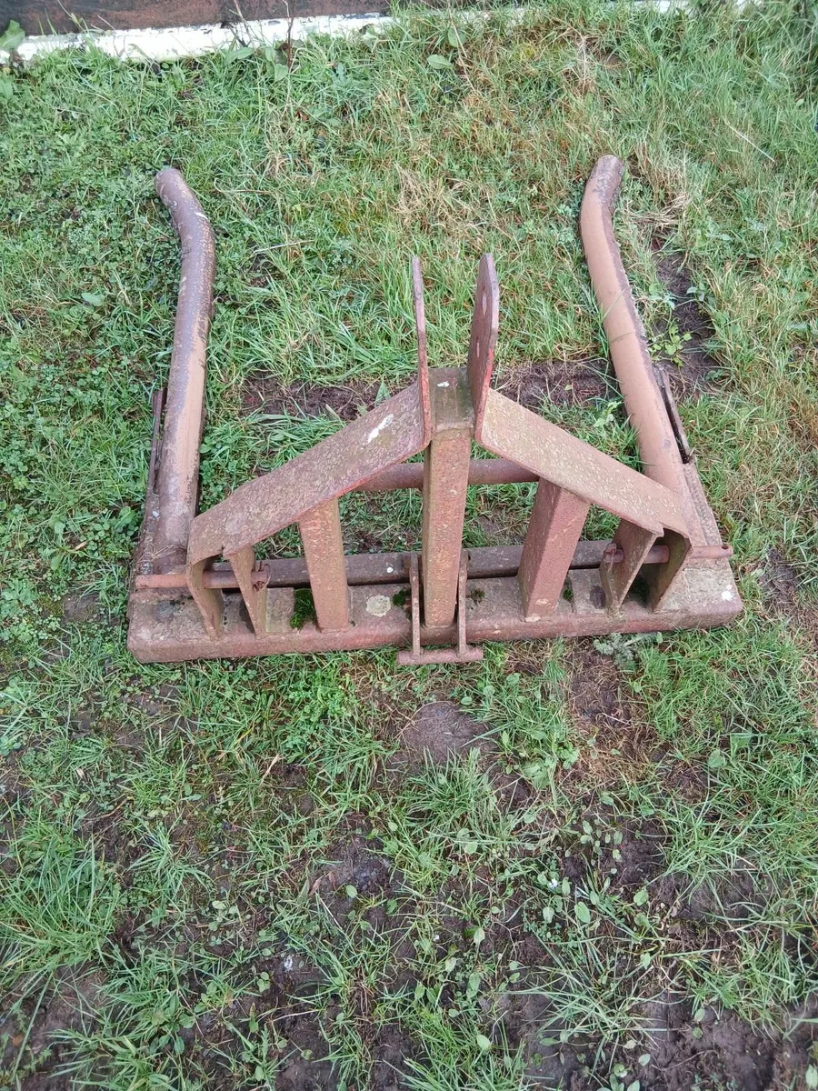 Bale lifter - Image 3