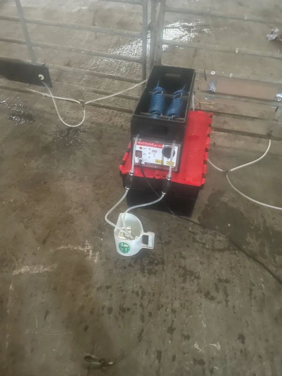 Heatwave Automatic Lamb/Calf Feeder - Image 1