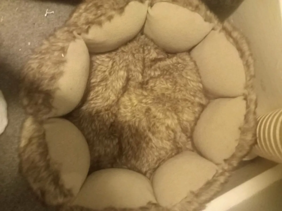 New luxury cat bed tk maxx - Image 1