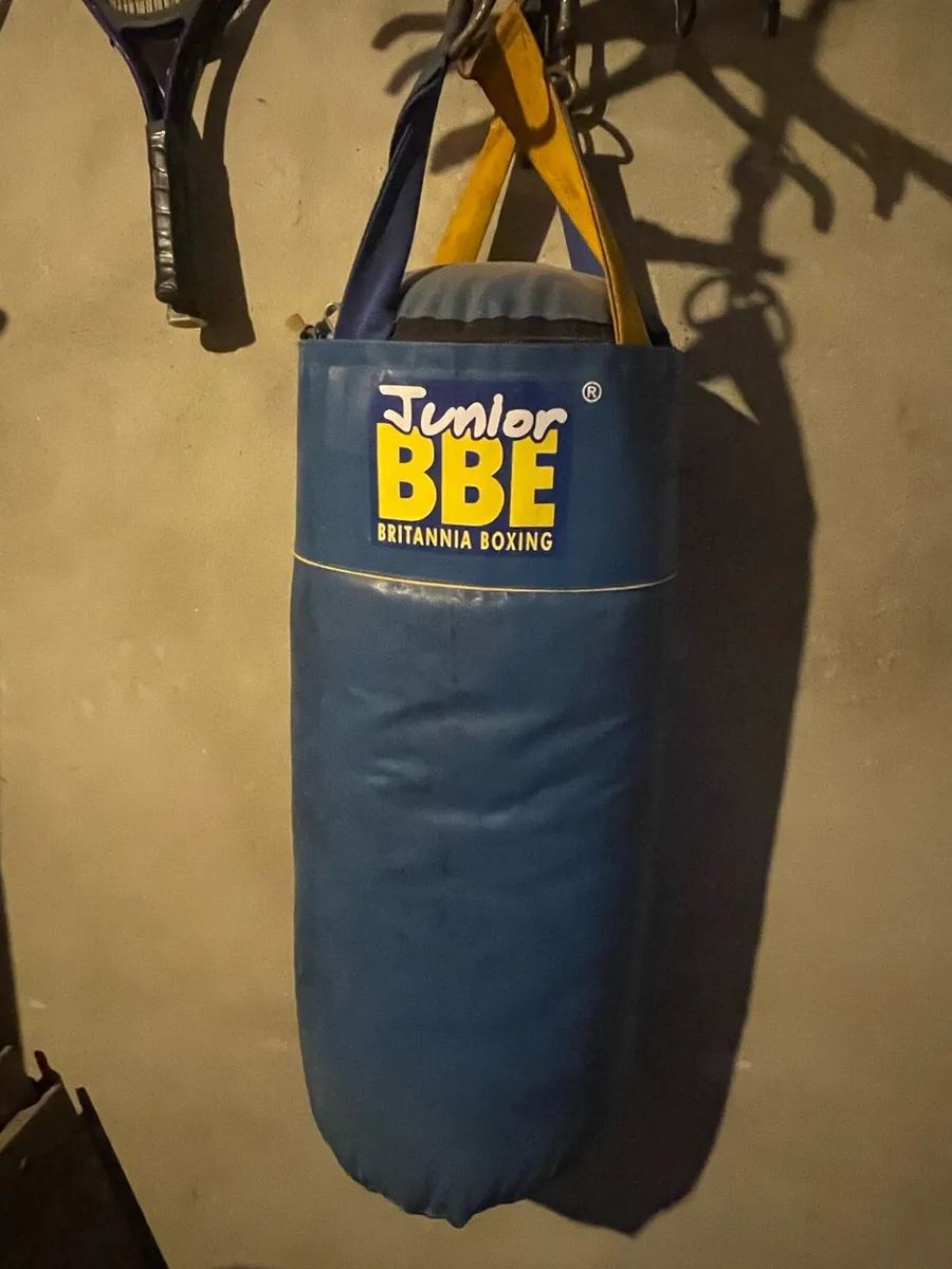 Youth boxing bag