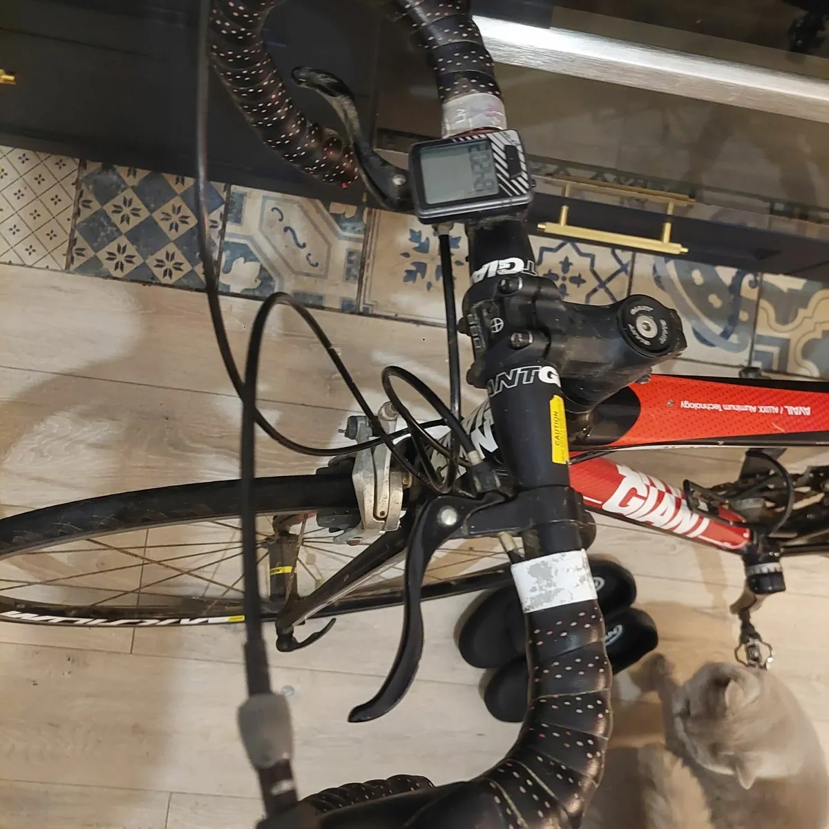 Liv 3 bike with accessories - Image 3