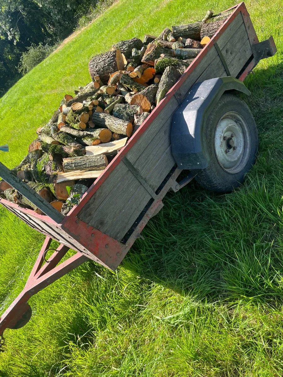 Firewood - Image 3