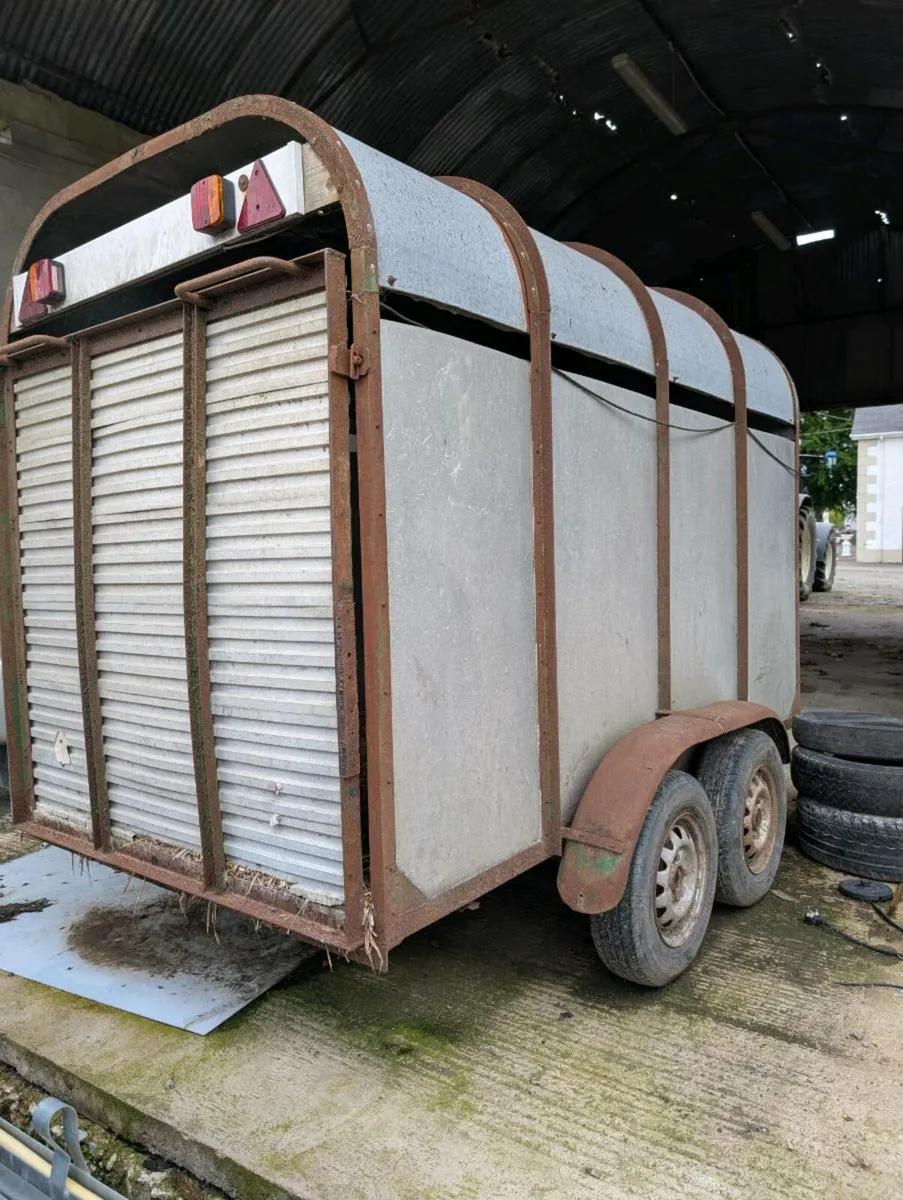 Cattle Trailer - Image 3