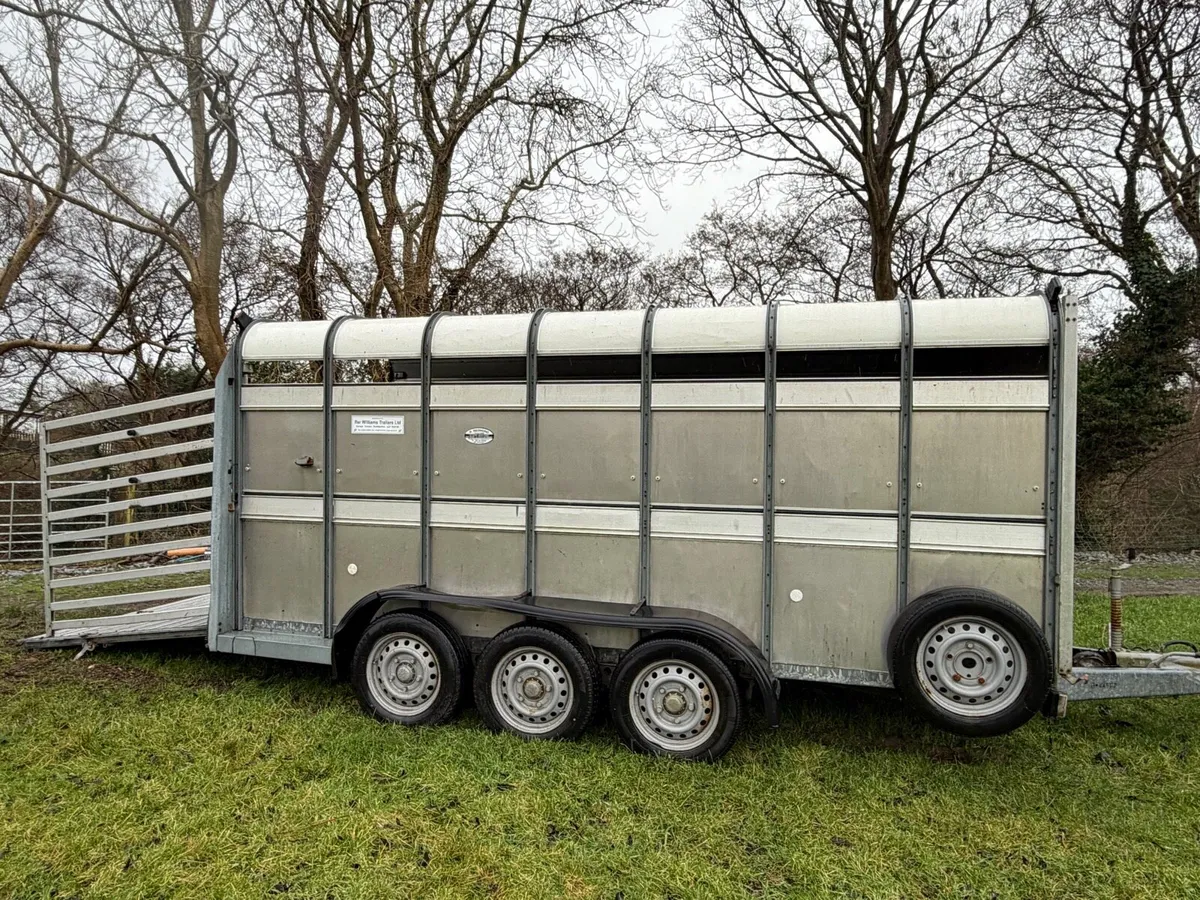 IFOR WILLIAMS TRI AXLE 14ft - Image 2