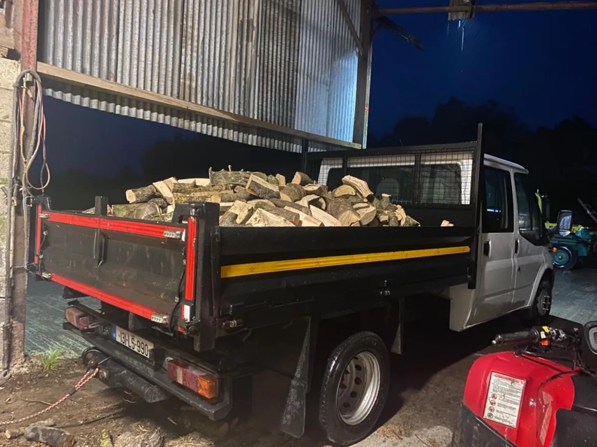 Ash firewood - Image 3