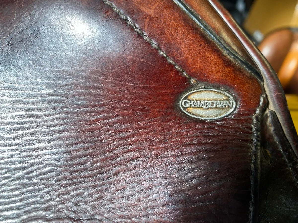 17.5-18” ” close contact jumping saddle - Image 3