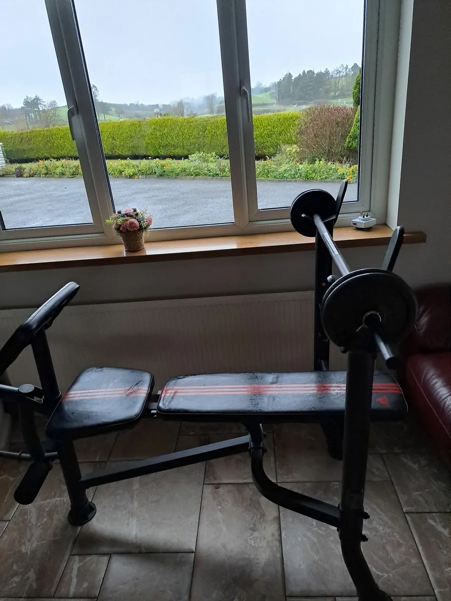 Exercises bench - Image 2