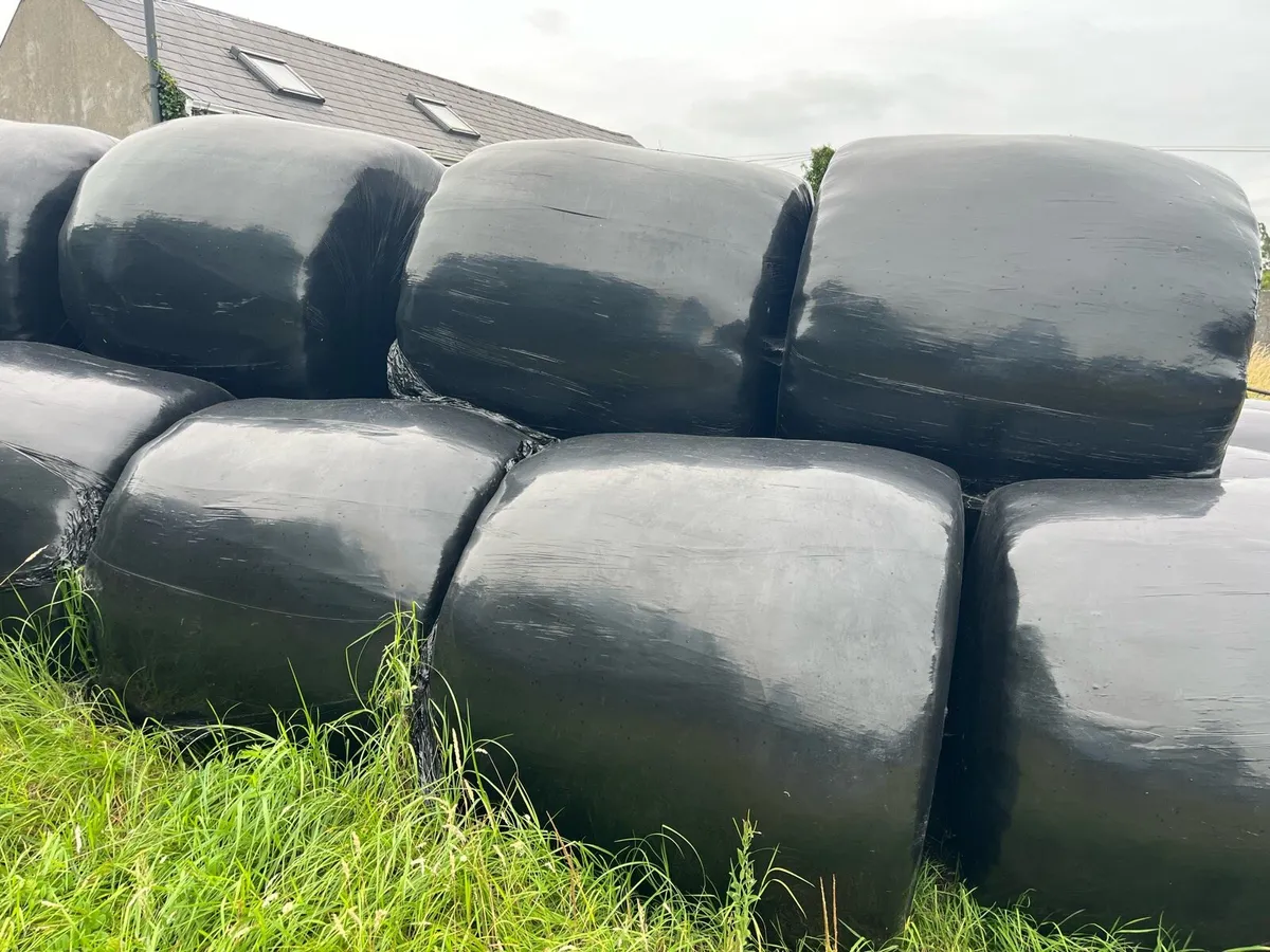 Bales Silage - Image 1