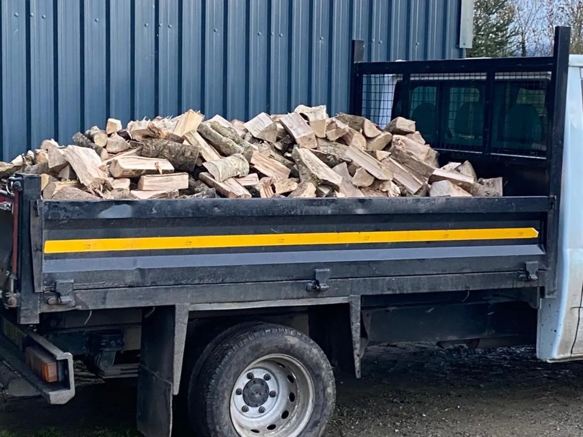 Ash firewood - Image 1