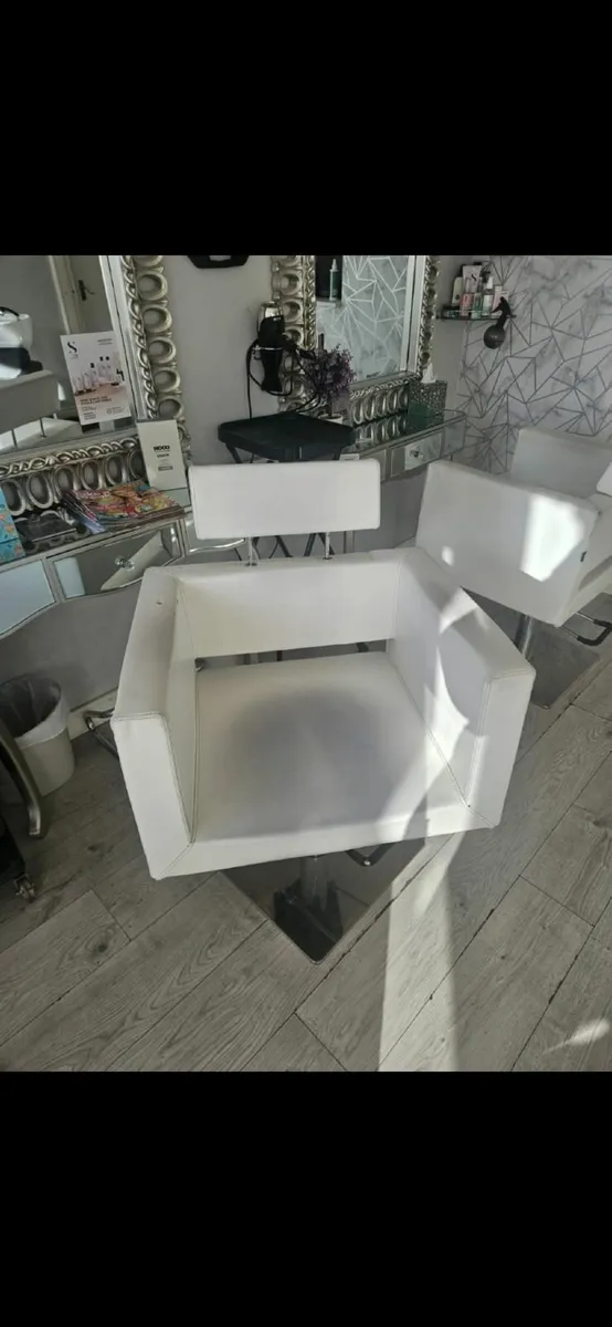 Salon  Chairs - Image 2