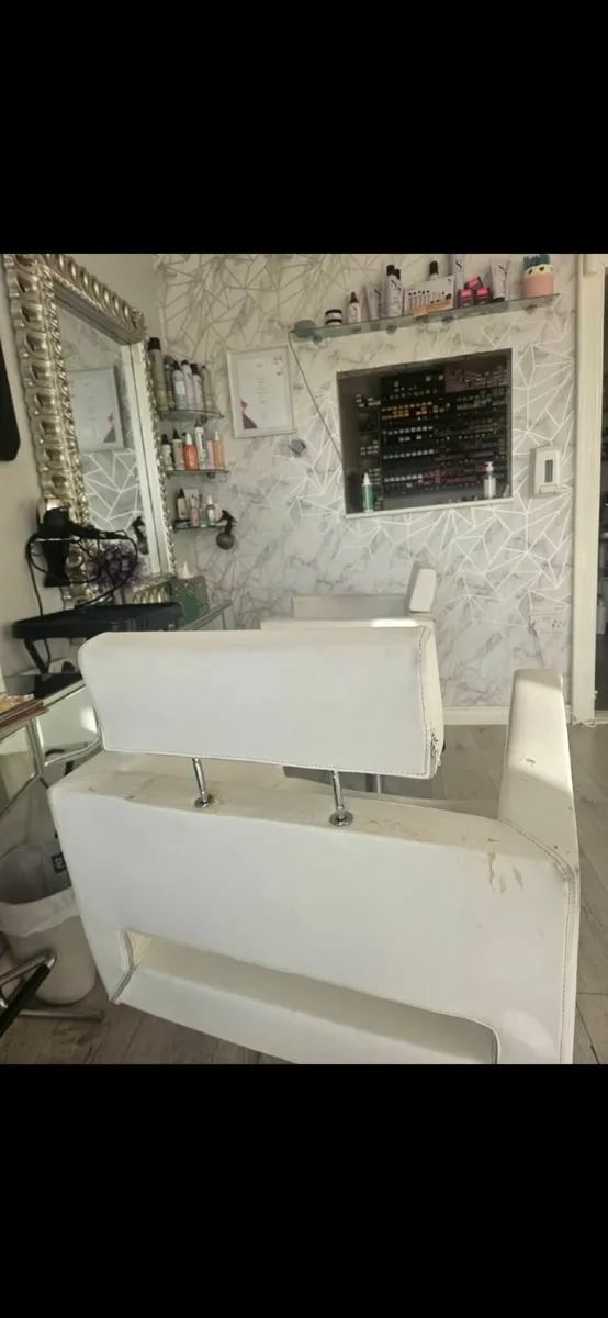 Salon  Chairs - Image 3