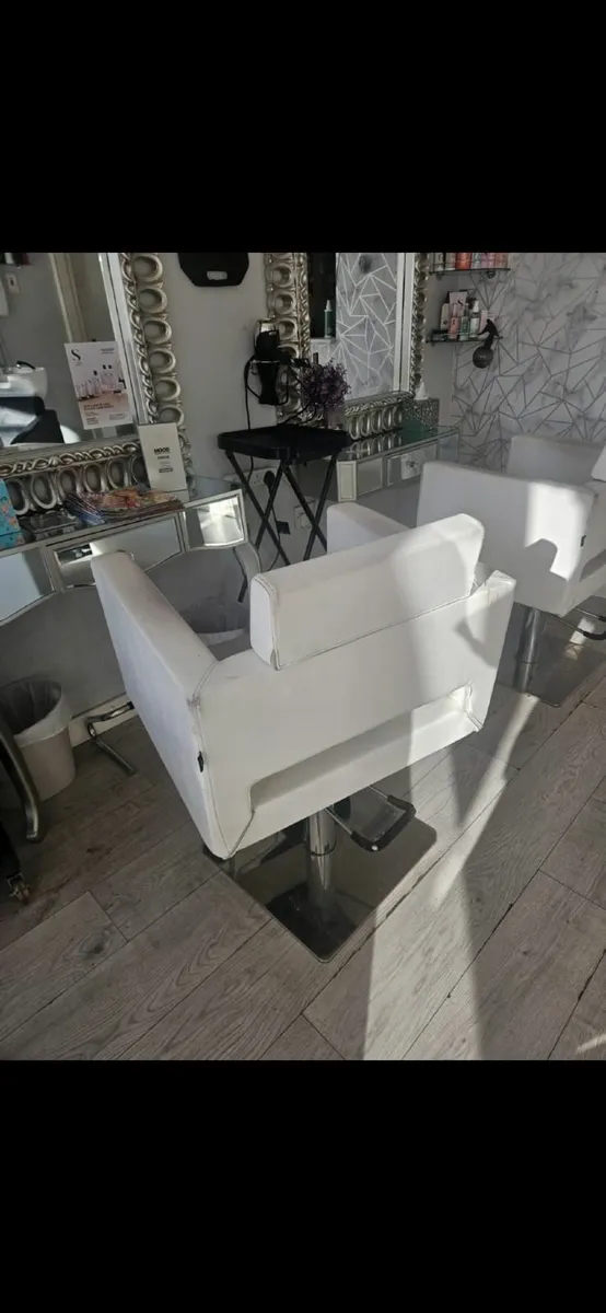 Salon  Chairs - Image 4