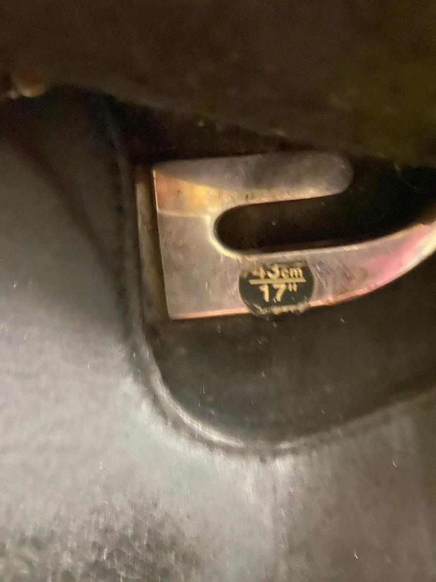 17” Wintec Isabelle werth dressage  saddle - Image 3