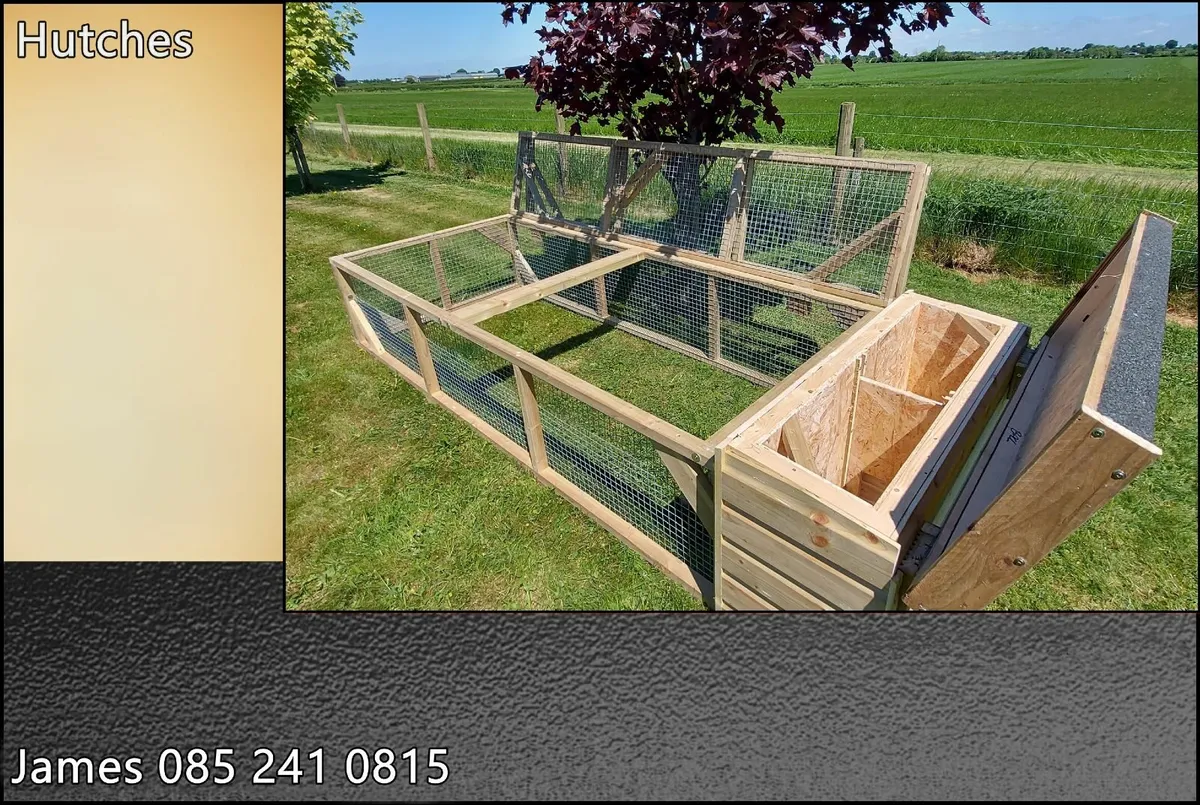 Guinea Pig / Rabbit Houses - Image 4