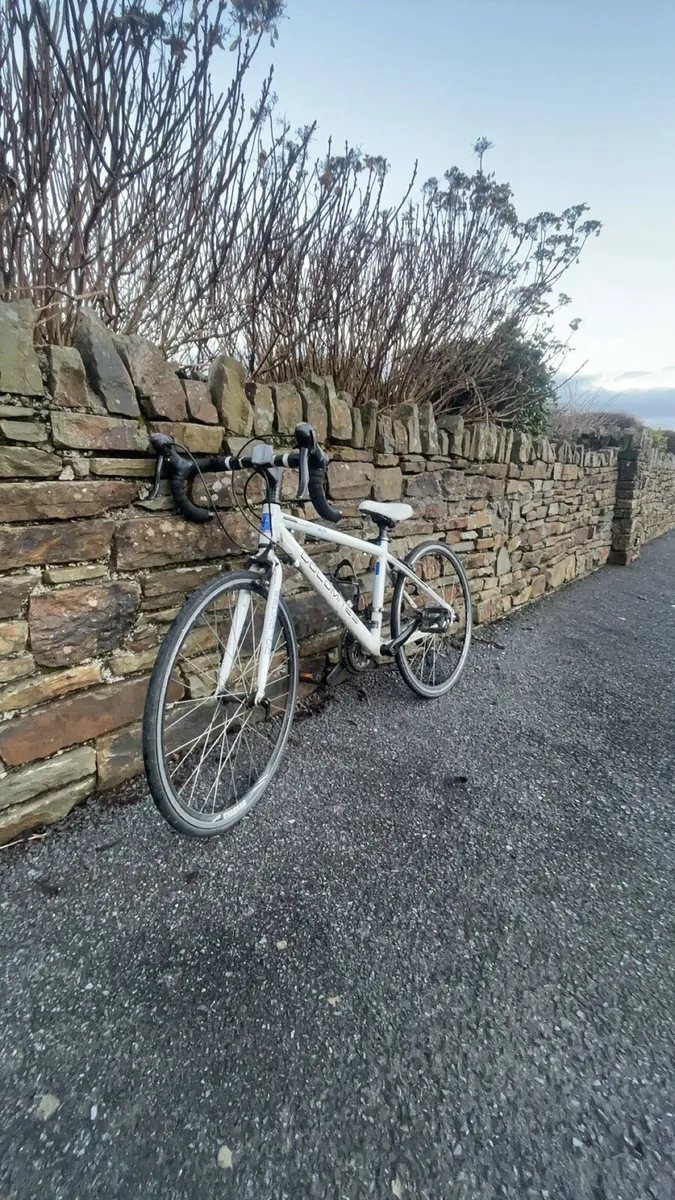 Dolomites Racer - Image 2