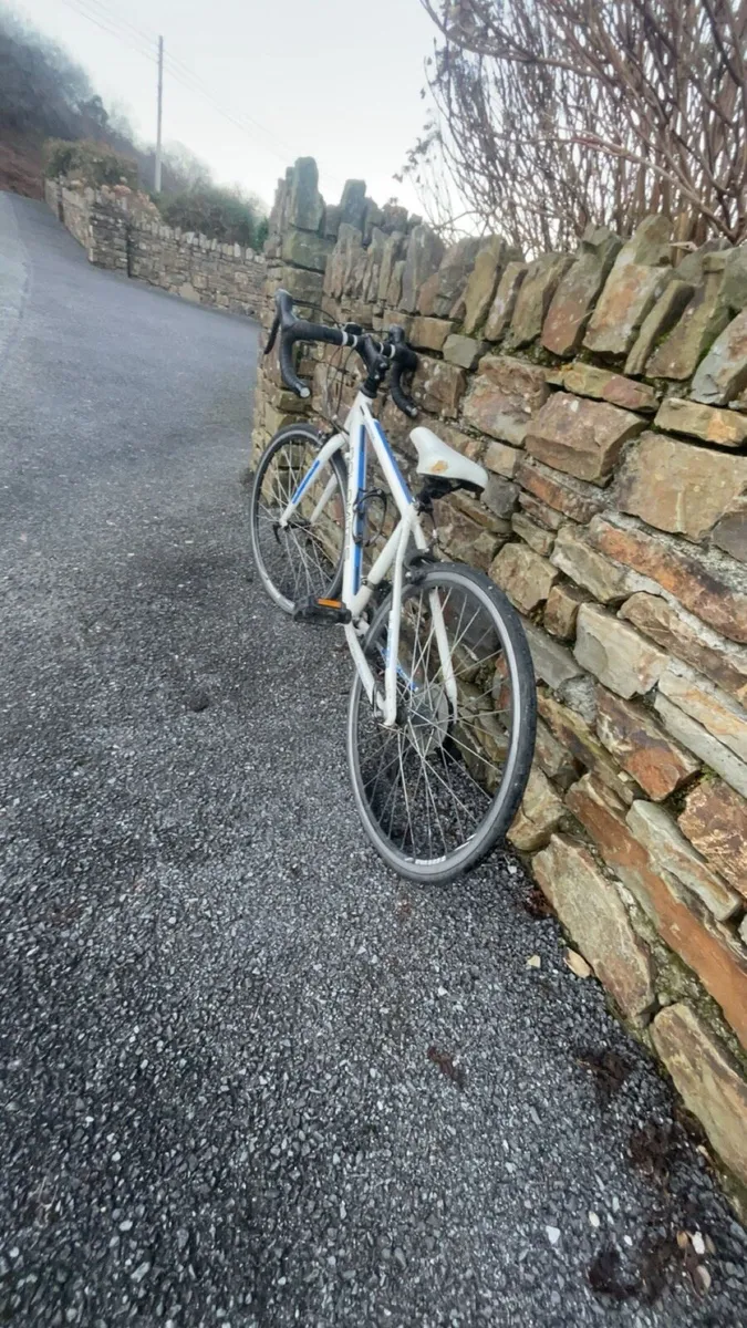 Dolomites Racer - Image 3