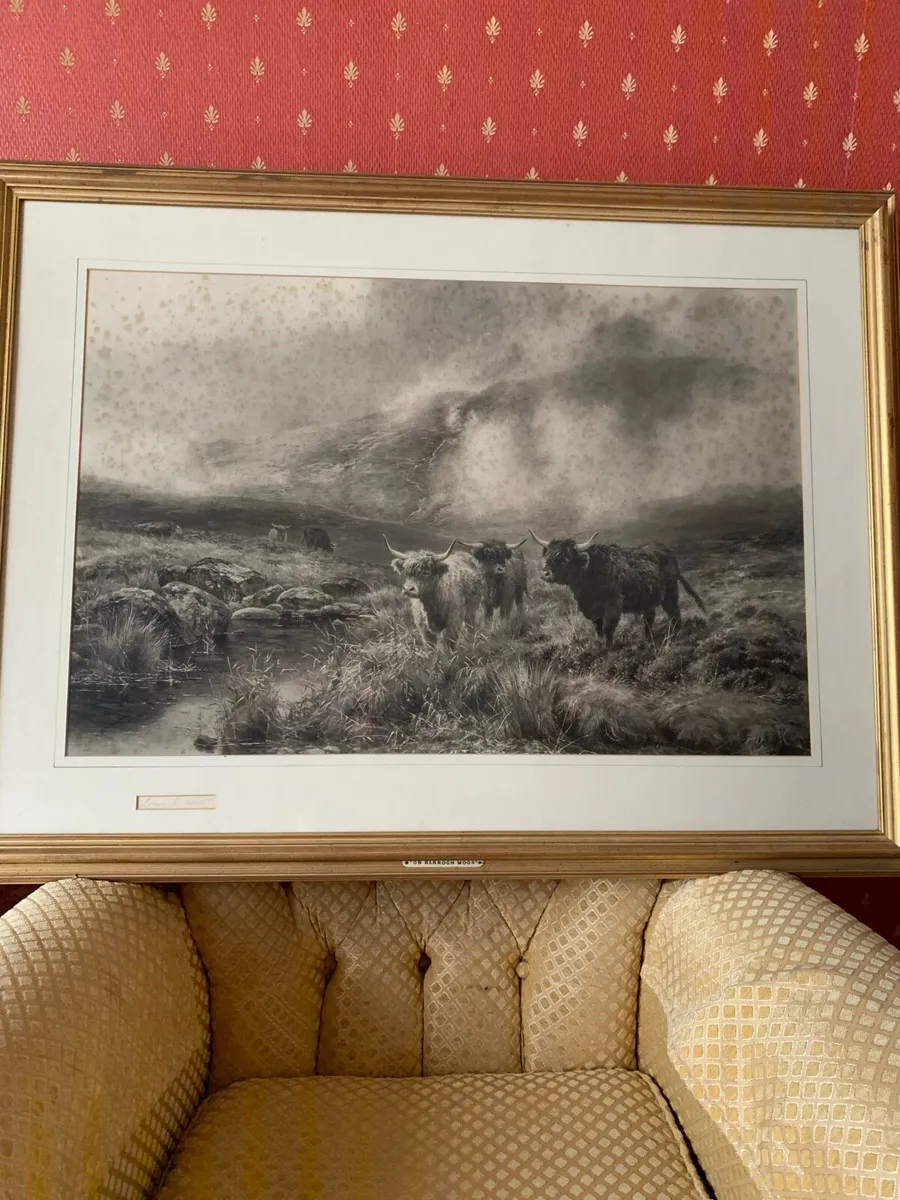 Vintage Highland Cattle Print - Image 1