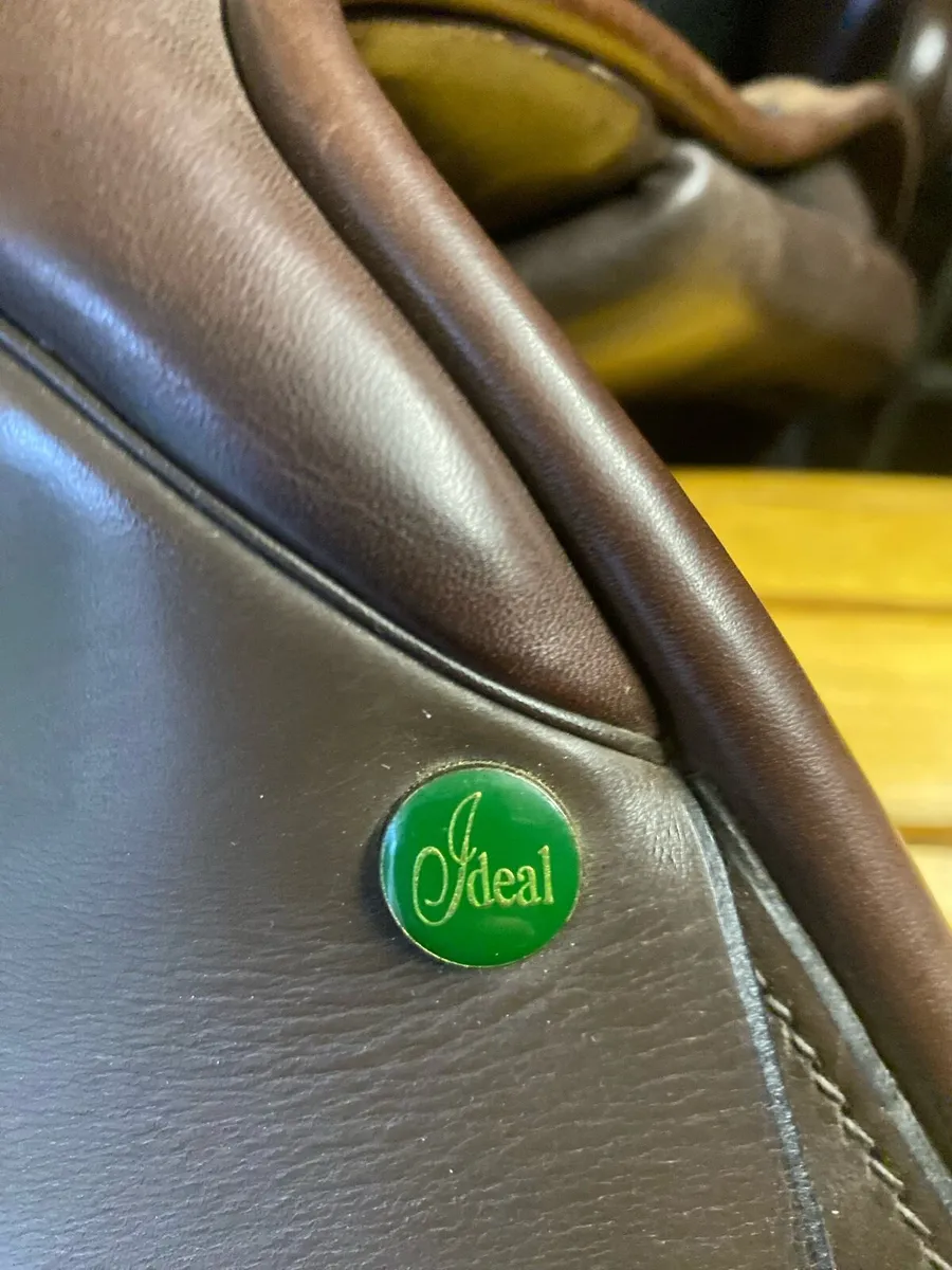 17” ideal brown Leather jump saddle - Image 2