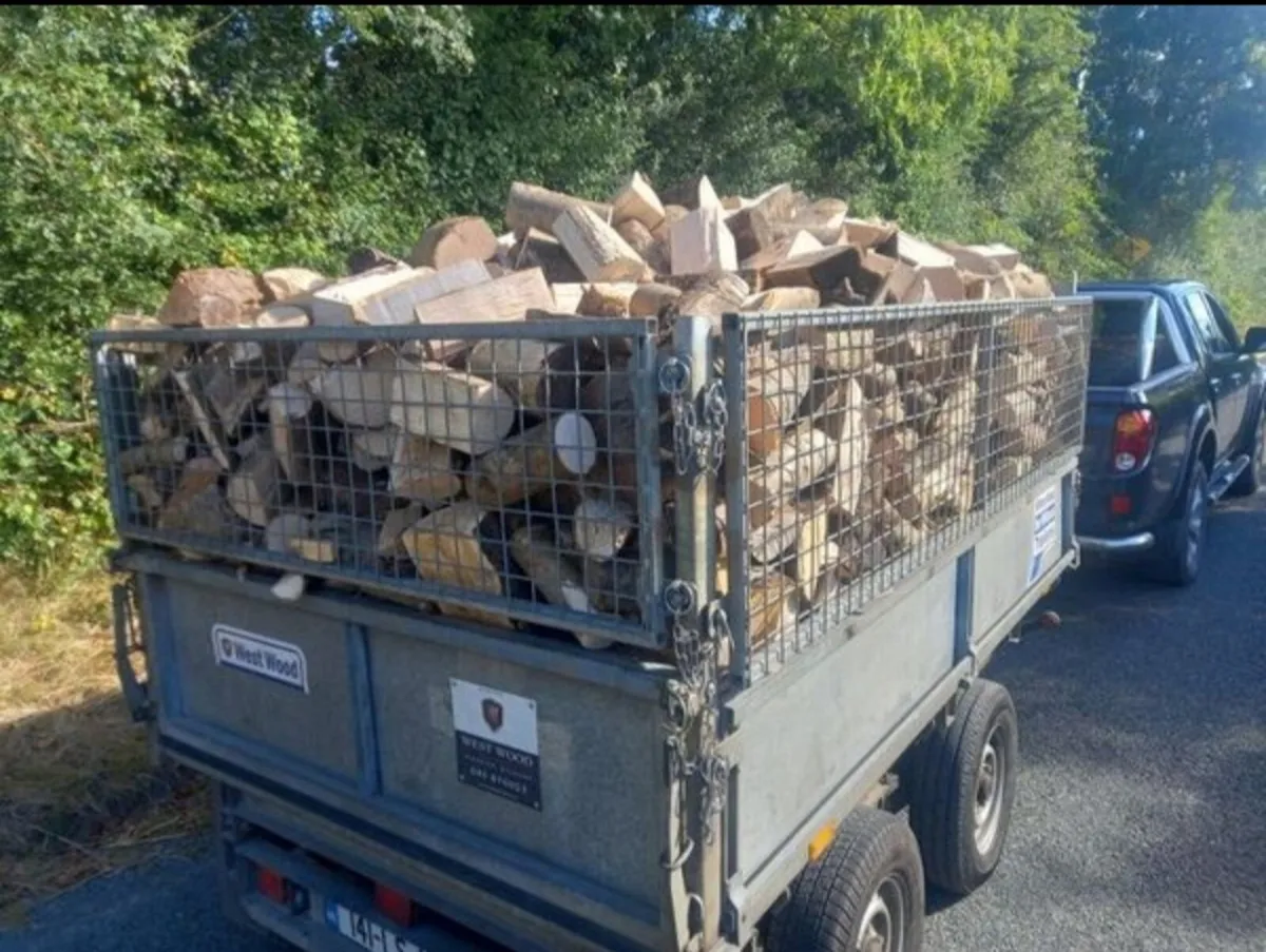 Ash Firewood - Image 1