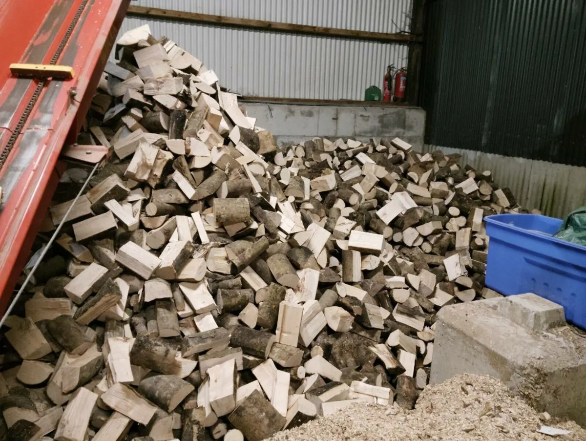Ash Firewood - Image 2