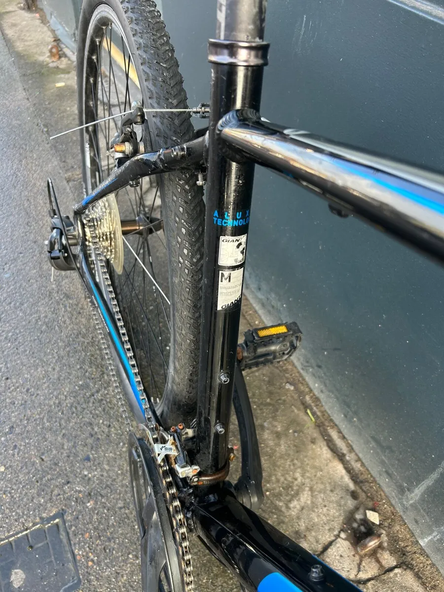 Giant Roam ❗️Open 7 days of the week ❗️ - Image 4