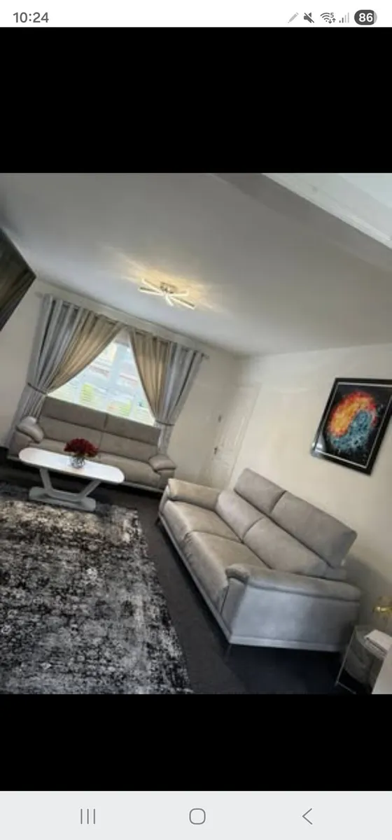 2 seater sliver leather couches - Image 1