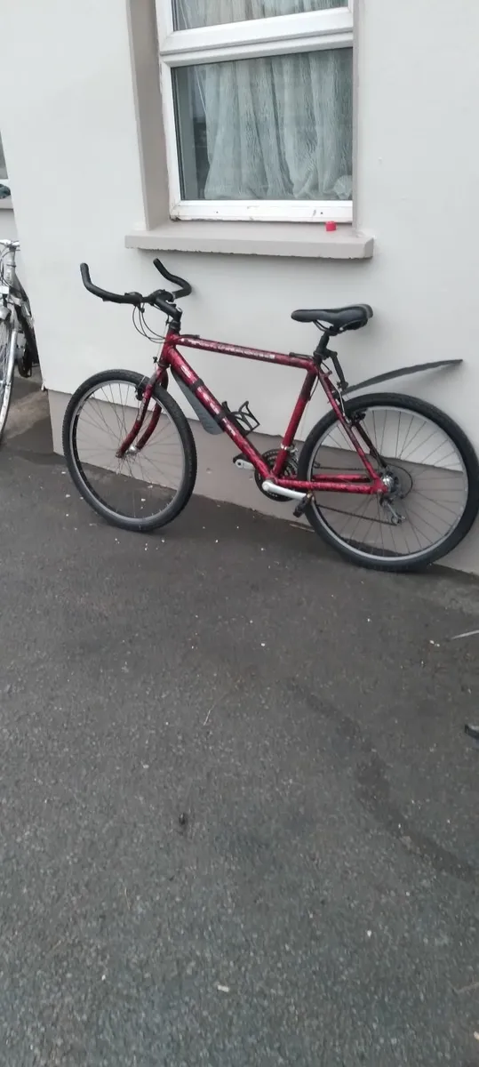 All bikes for sale 40e each no offers priced - Image 1