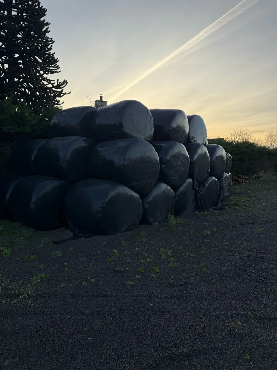 Silage bales - Image 2