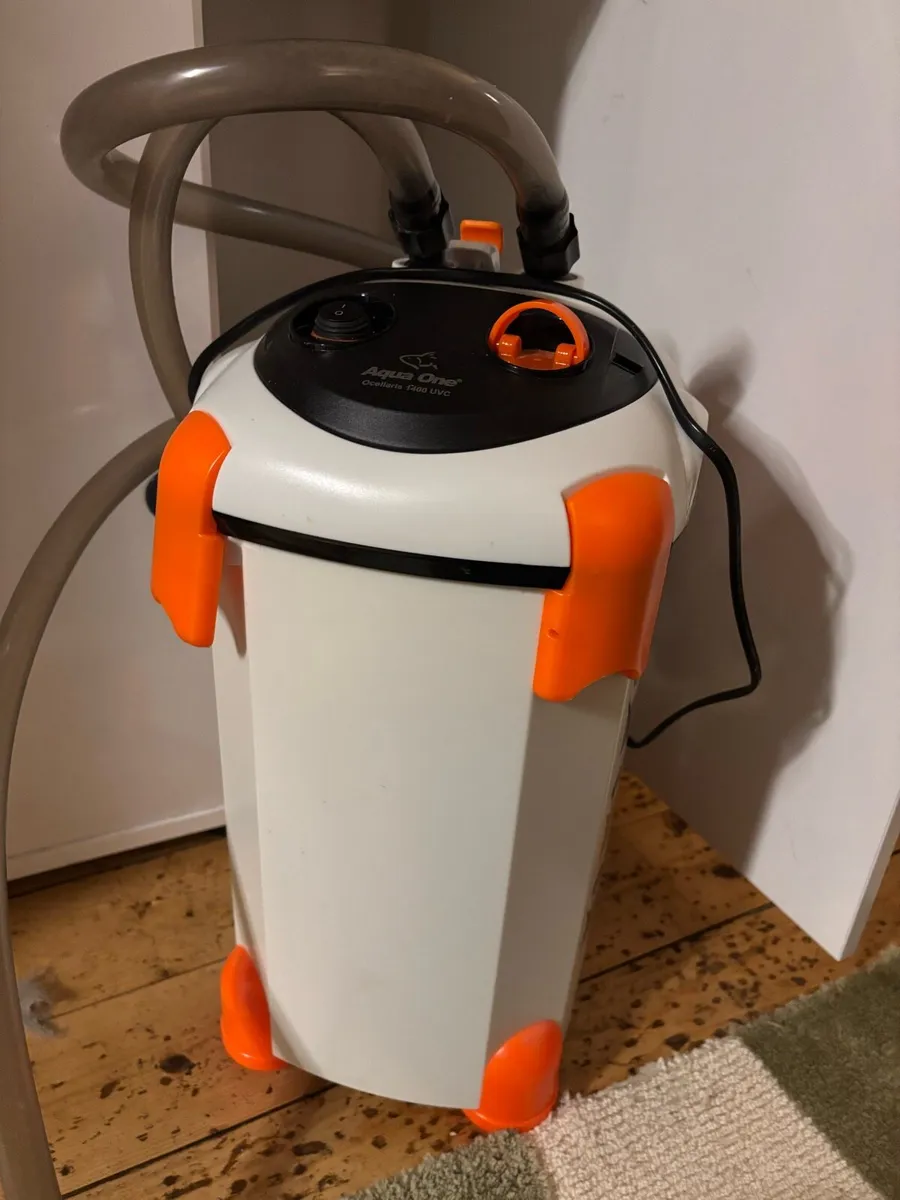 Fish tank 180L, Canister Filter and Accessories - Image 4