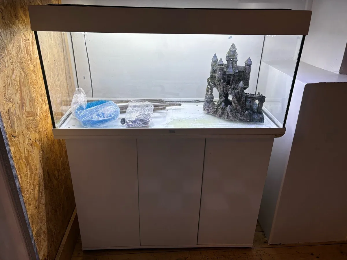 Fish tank 180L, Canister Filter and Accessories - Image 2
