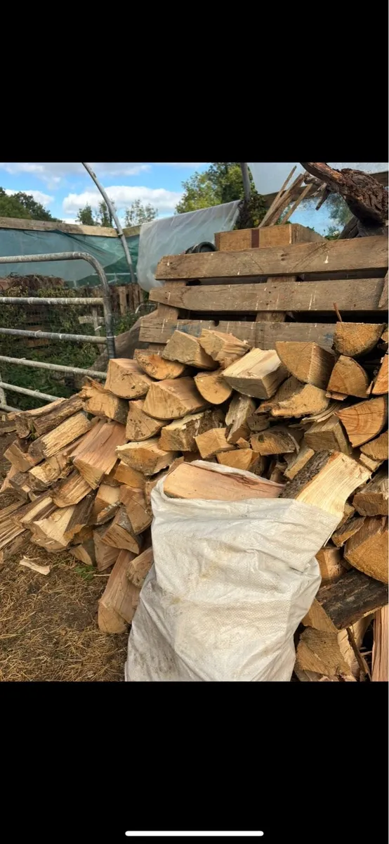 Firewood - Image 1