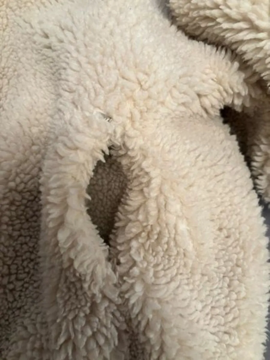 Replay womens Jacket size L 12-14uk VGC - Image 2