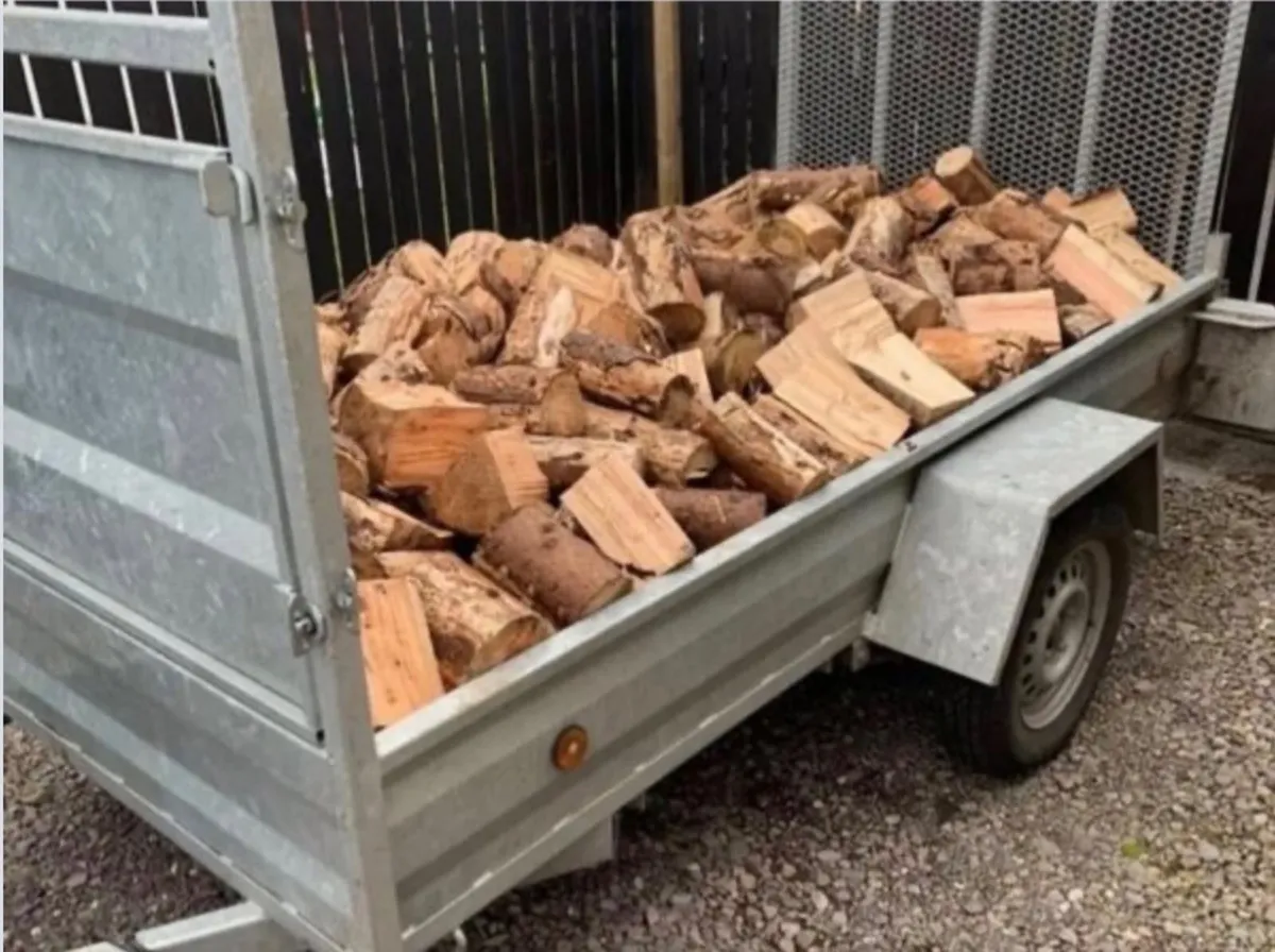 Firewood Timber - Image 1