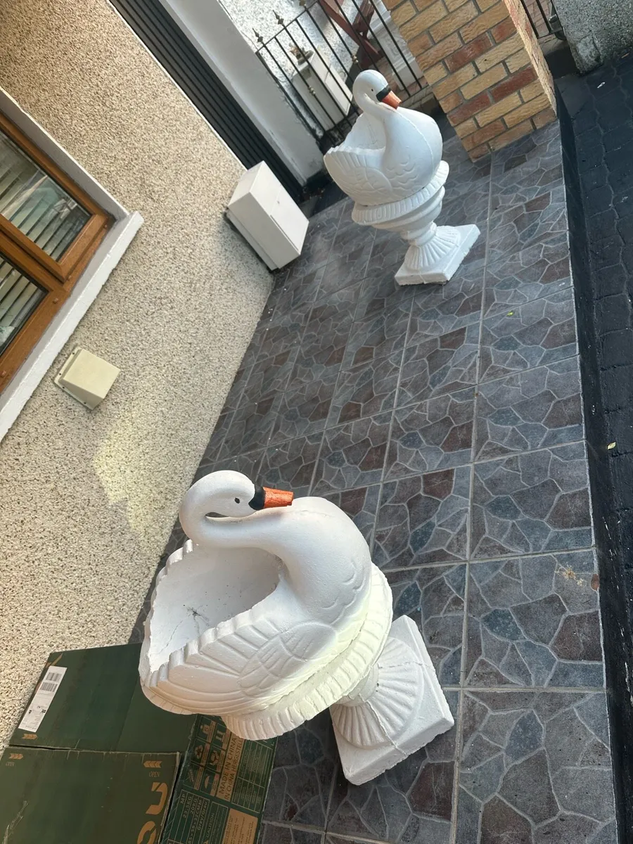 Garden Swans - Image 1