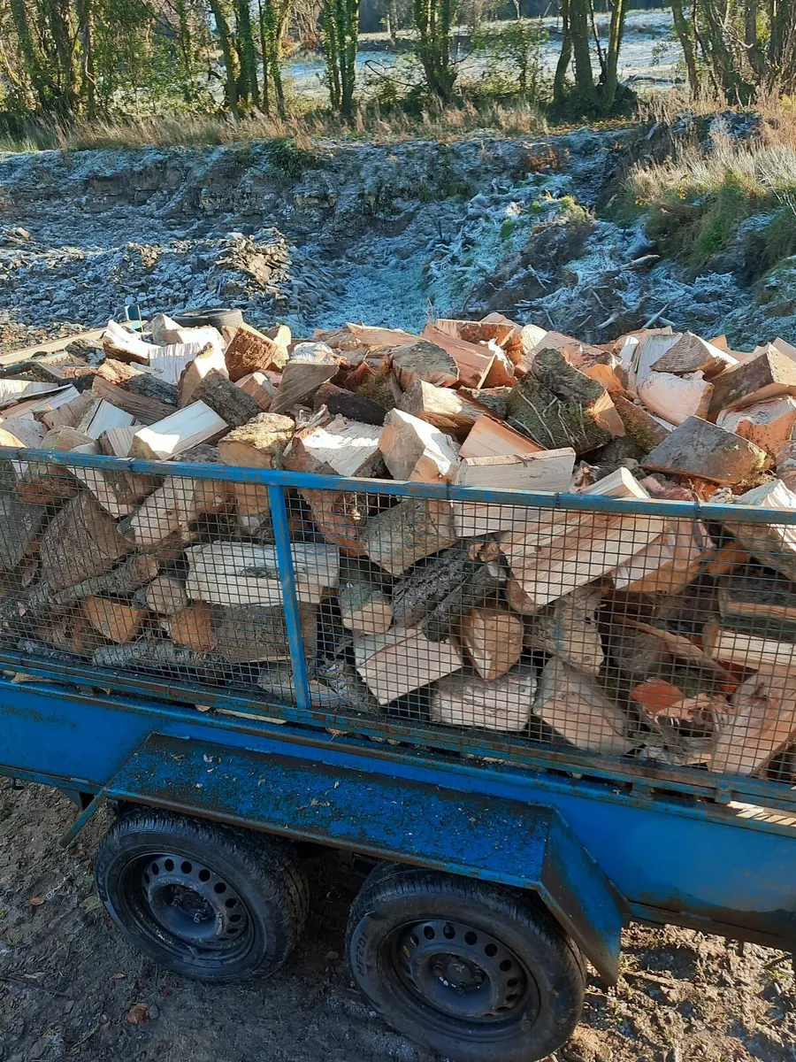 Firewood - Image 2