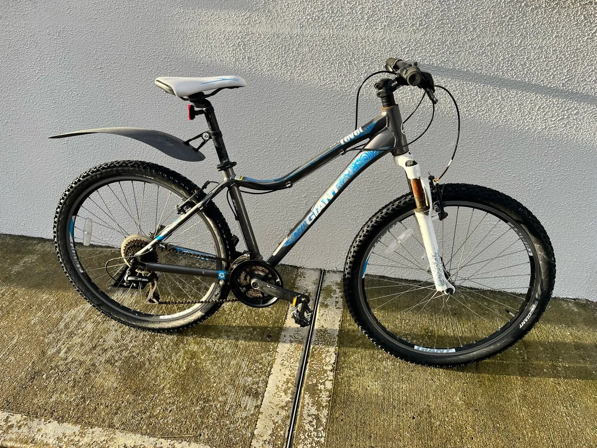 Giant Bike - Image 1